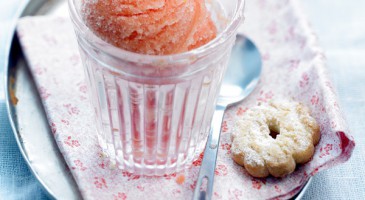 Easy dessert recipe: Watermelon sorbet
