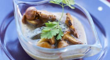 Gourmet soup recipe: Oyster soup with mushrooms