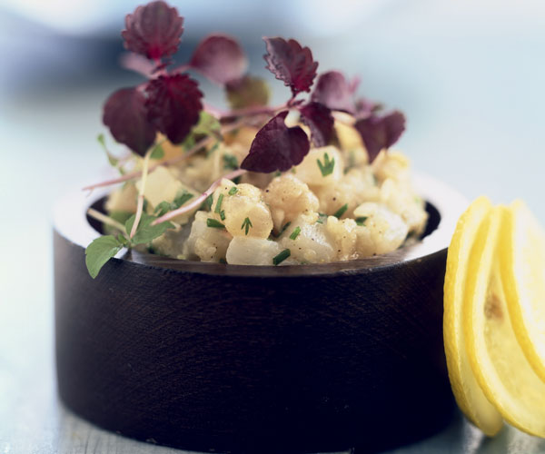 Healthy recipe Swordfish and scallop tartare