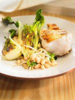 Fish recipe: Monkfish with white beans, Chinese cabbage and beansprouts
