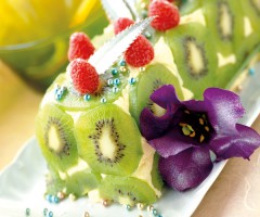 Dessert recipe: Kiwi terrine