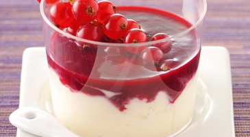 Light dessert recipe: Panna cotta with red currant coulis