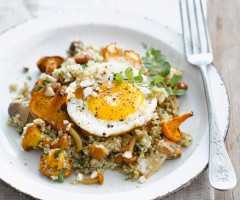 Gourmet recipe: Quinoa with mushrooms and fried egg