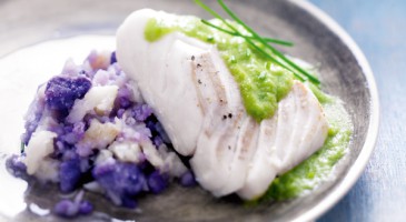 Easy reciep: Cod with purple potato and celeriac mash