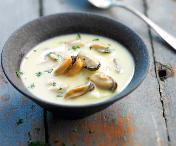 Starter recipe mussel soup