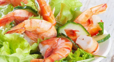 Shrimp salad - An easy recipe for a tasteful starter