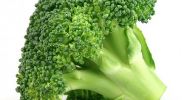 One broccoli, three recipes