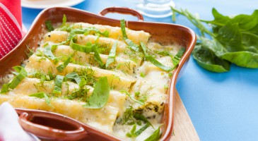 Gourmet recipe: Zucchini cannelloni with white sauce