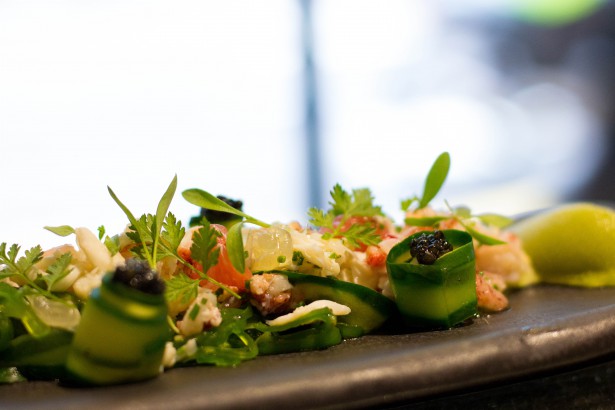 Xperience, Sofitel So