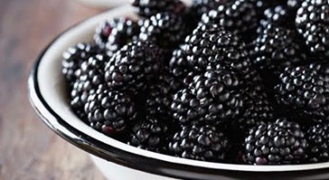 Cooking tip: Tips about blackberry
